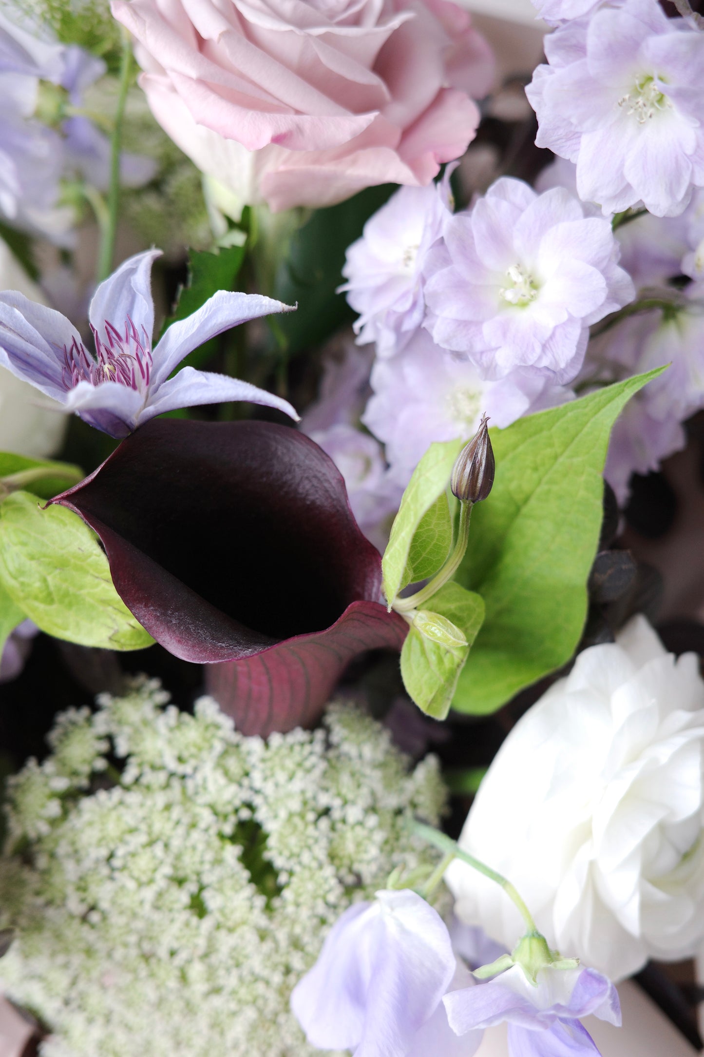 Windsor Garden, Bouquet