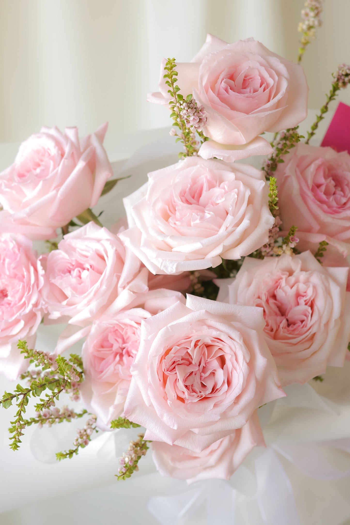 A Dozen Pink O'Hara Roses, Bouquet