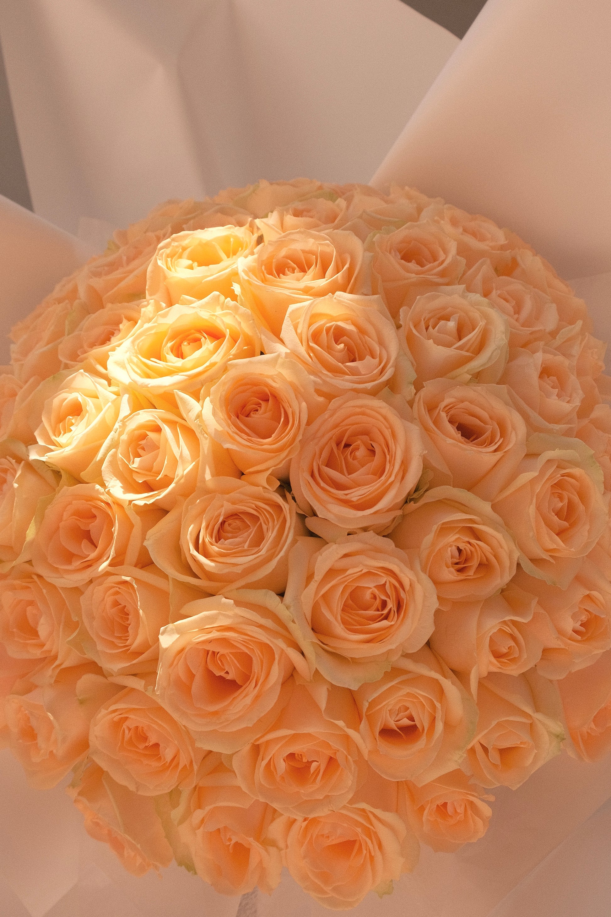 Champagne Rose Bouquet with 60 peach roses wrapped in white paper and satin ribbon