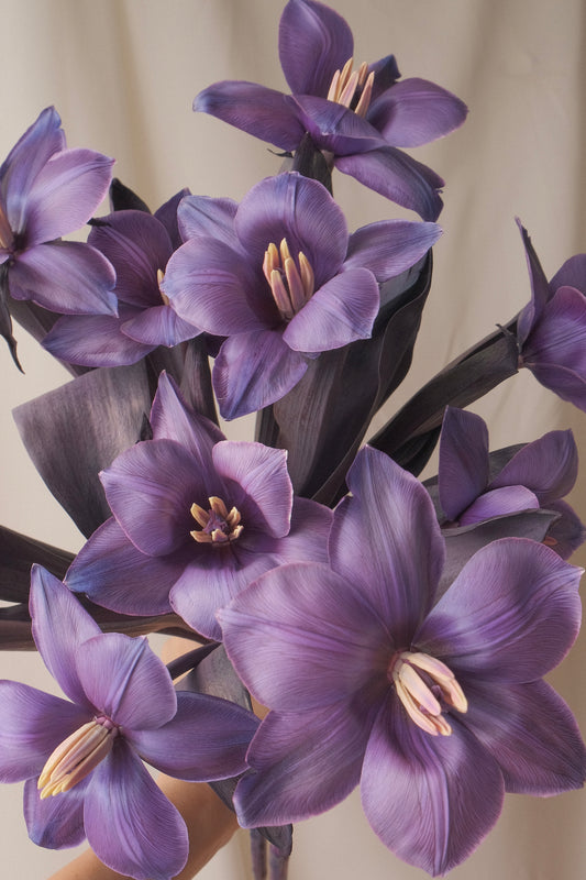 Nocturne purple bouquet with violet tulips, a luxury floral arrangement for romantic gifts.