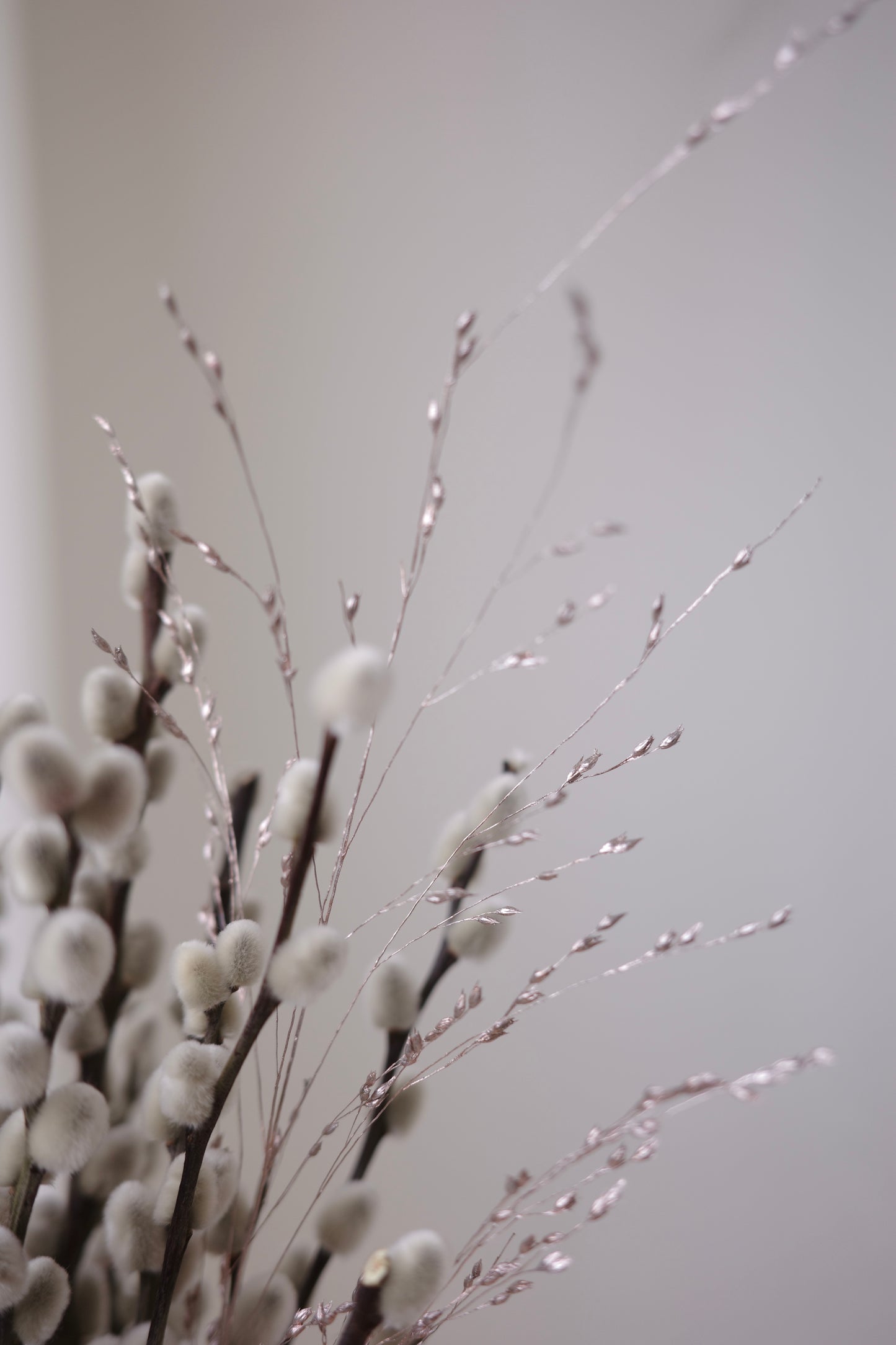 Petite silver pussy willow branches in a blush pot, with tassel