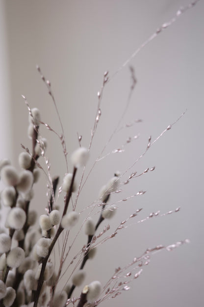 Petite silver pussy willow branches in a blush pot, with tassel