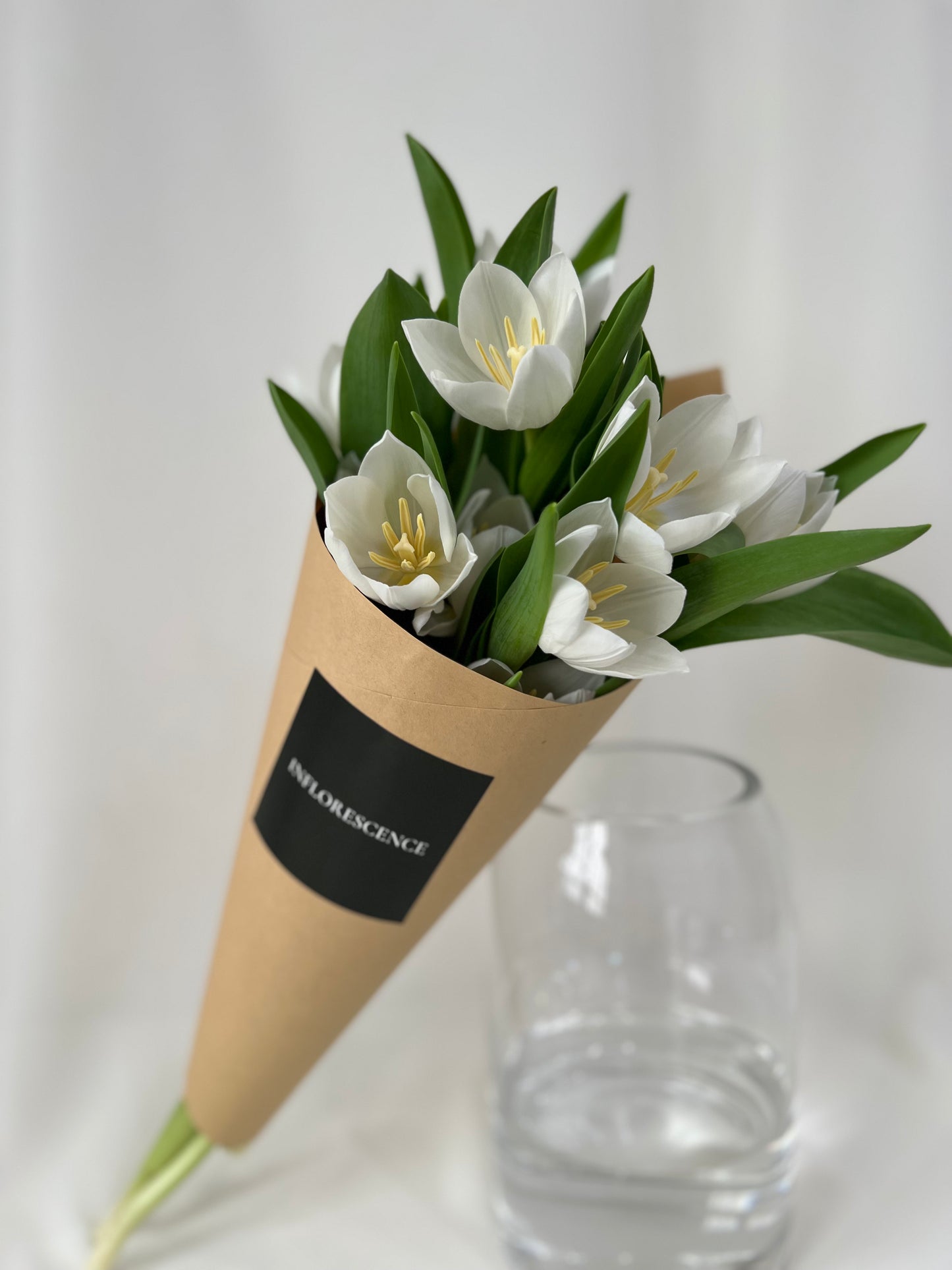 Hand-tied bouquet of fresh white tulips for gifting or home decor