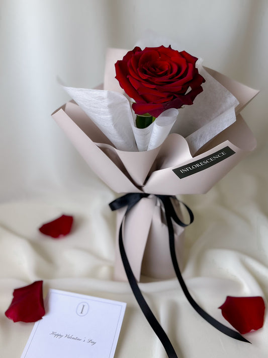 Single premium red rose elegantly wrapped by Studio Inflorescence Singapore