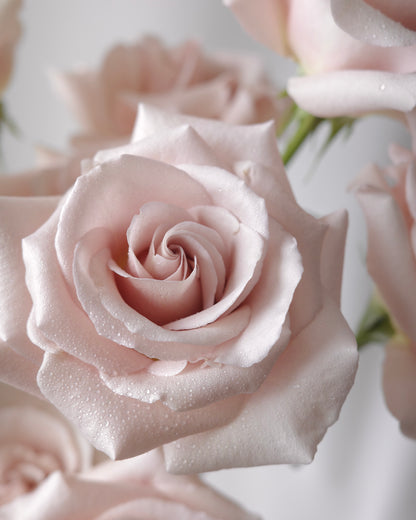 Romantic bouquet of nude pink roses and blue delphiniums by Studio Inflorescence Singapore
