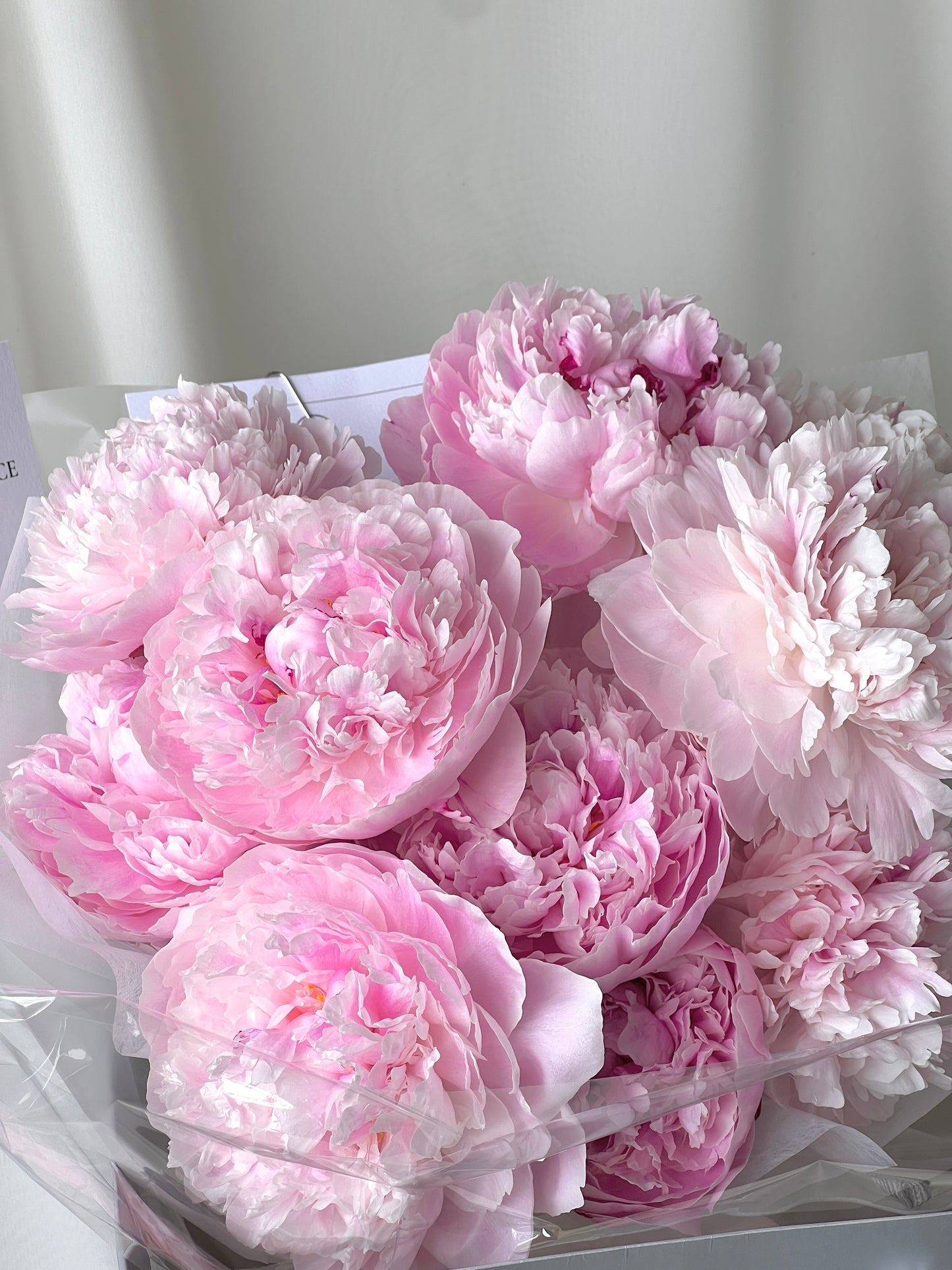 Luxury peony bouquet with fresh pink and white peonies by Studio Inflorescence Singapore